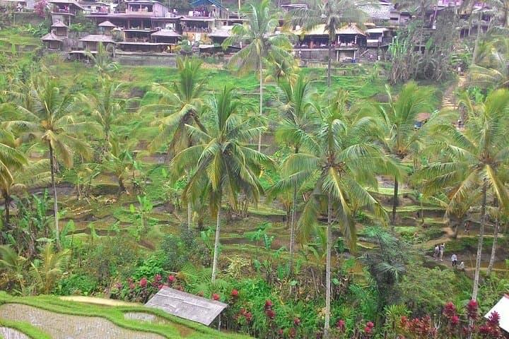 Full-Day Bali: Temple, Rice Terraces & Waterfall — All-Inclusive Tour photo 2