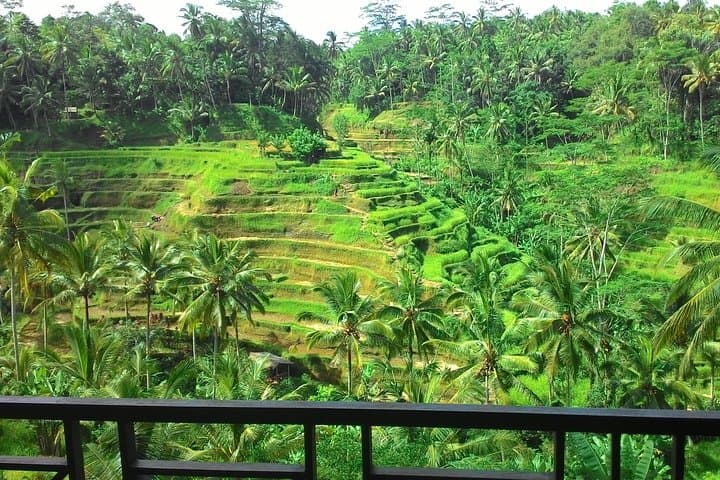 Ayung River Rafting, Tegalalang Rice Terraces & 1.5-Hour Balinese Massage — Ubud Day Combo photo 3