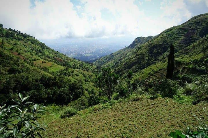 Uluguru Mountains Day Hike to Choma Waterfalls — Morogoro Adventure Guide