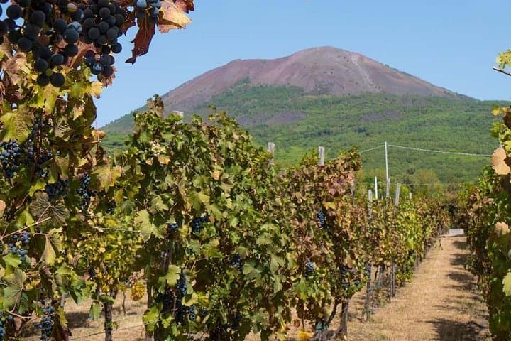 Hike Mount Vesuvius and Lacrima Christi Vineyard Tour from Sorrento photo 1
