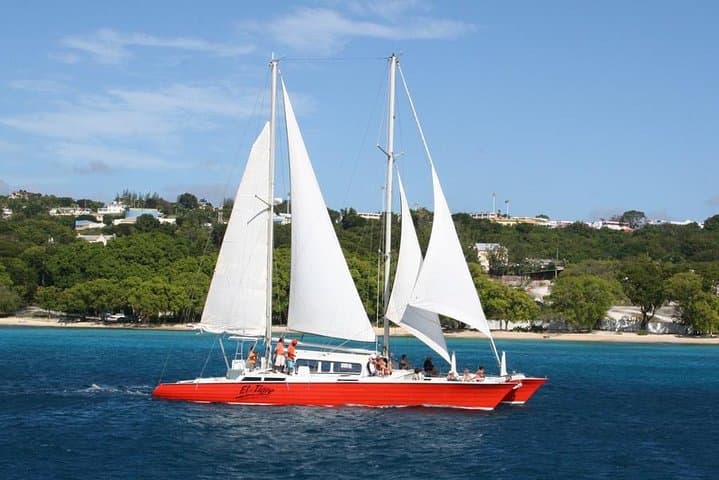 Barbados Catamaran Turtle & Shipwreck Snorkeling Cruise on the West Coast photo 2