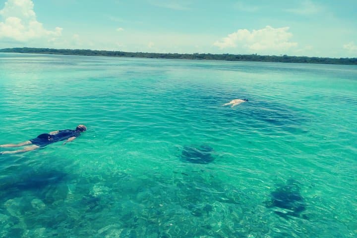 Snorkel Grand Bahama Blue Holes and Drift with Turtles at Sweetings Cay photo 1