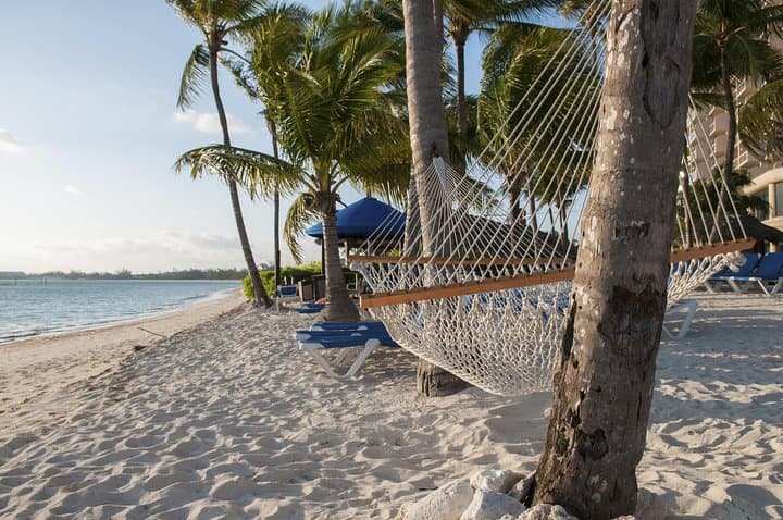 Freeport Coral Vita Tour and Banana Bay Beach Club Transfer — Shore Excursion