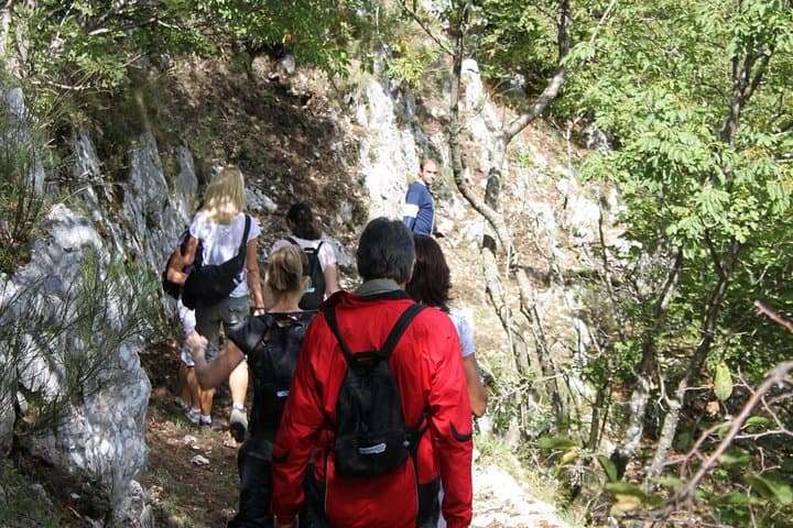 Truffle Hunting near Positano: Private Monti Picentini Foraging Tour with Lunch photo 2