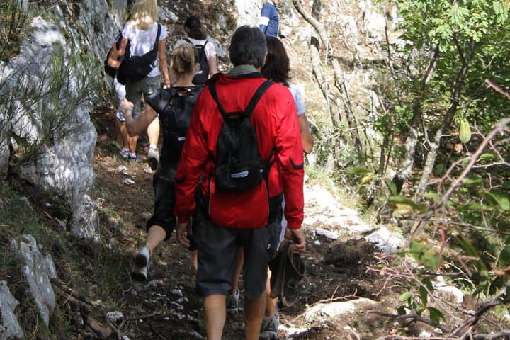 Truffle Hunting on Mt Terminio: Private Day Trip from the Amalfi Coast photo 2