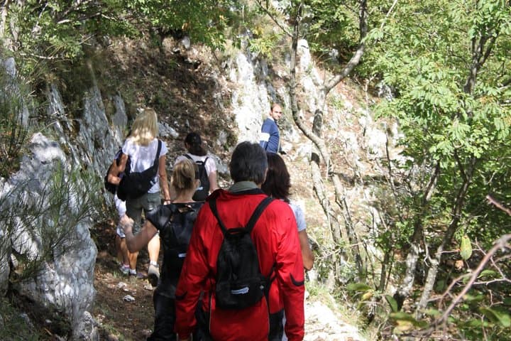 Private Truffle-Hunting Tour from Naples — Monti Picentini Hike & Lunch photo 2