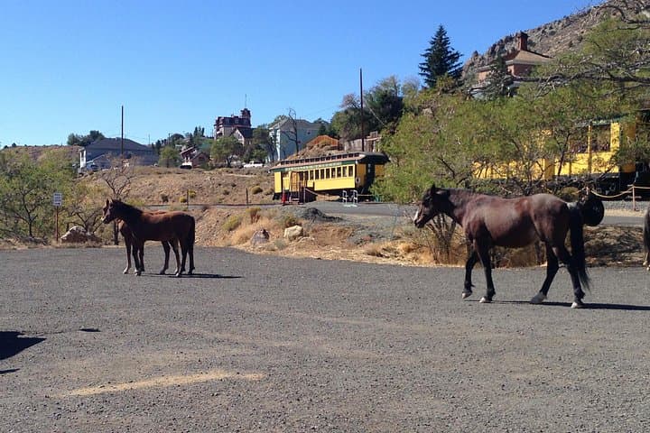 Virginia City & Carson City Day Tour from South Lake Tahoe: Comstock Lode History and Kingsbury Grade Views photo 2