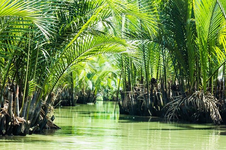 Can Gio Biosphere Reserve Day Trip: Mangroves, Monkeys & Birdwatching photo 3