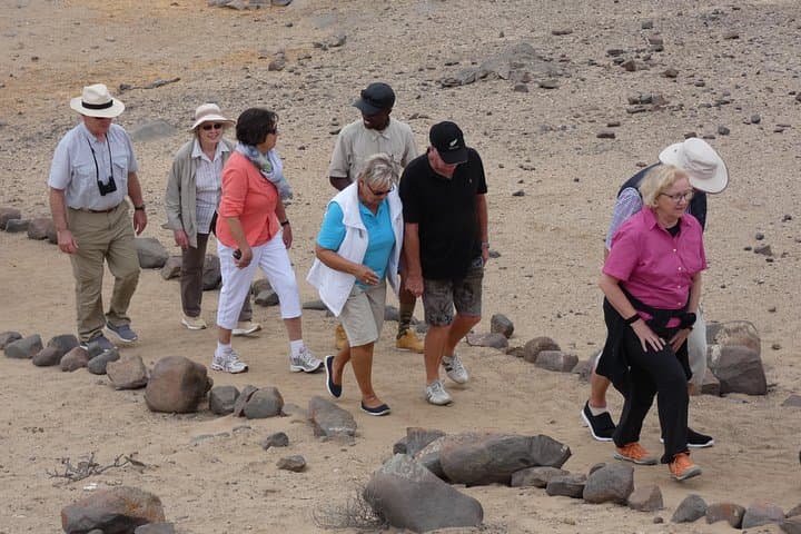 10-Day Namibia Safari: Sossusvlei Dunes, Etosha & Coastal Wildlife photo 2