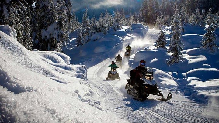 Rovaniemi Snowmobile, Reindeer & Husky Day Tour — Arctic Tracks and Animal Encounters