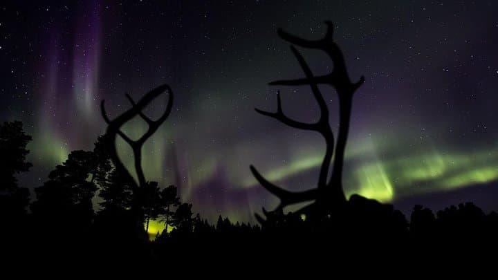 Reindeer Farm Dinner and Northern Lights Hunt Near Rovaniemi