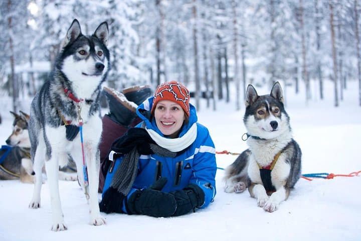 Arctic Circle Family Day: Husky Sled, Snowmobiling & Ice Fishing from Rovaniemi