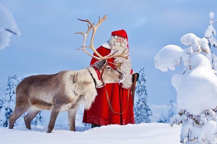 Reindeer Sleigh Ride & Farm Experience in Rovaniemi photo 3