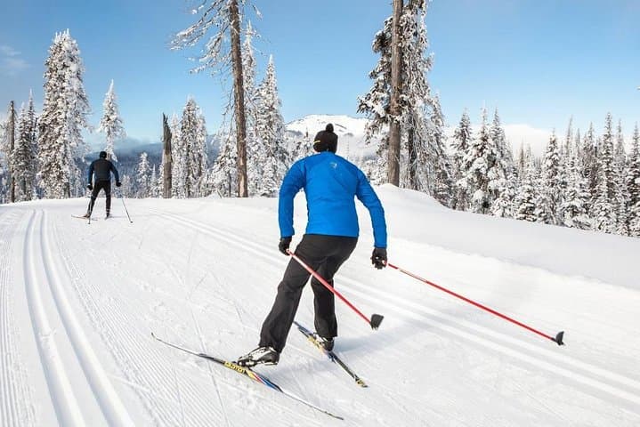 Small-Group Lapland Cross-Country Ski Experience in Rovaniemi