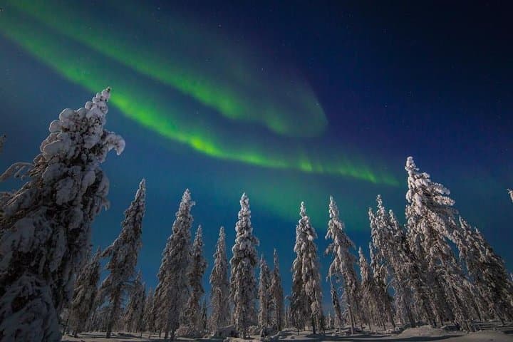 Husky Aurora Hunt in Rovaniemi: Sleigh Ride Under Finland's Northern Lights photo 3