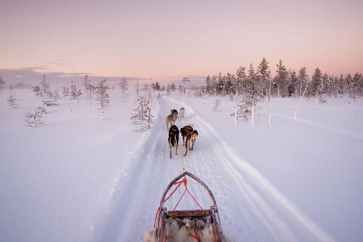 Husky Sled and Ice Fishing Adventure Near Rovaniemi photo 4