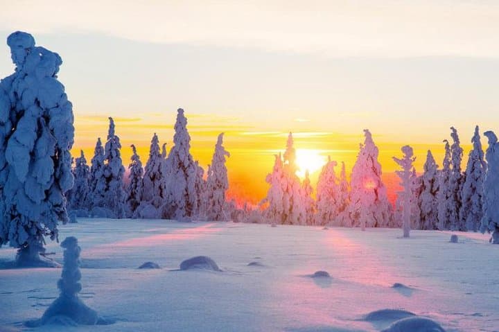 Sleigh Ride Around the Arctic Circle — Snowmobile Tour from Rovaniemi photo 2
