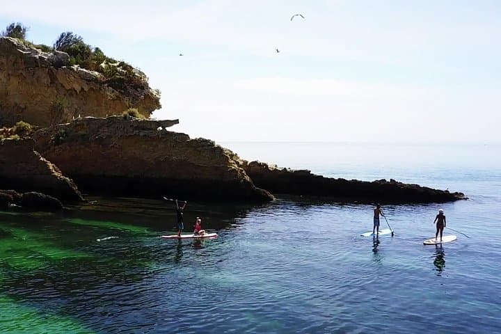 Stand-Up Paddle Tour to Portinho da Arrábida from Almada photo 2