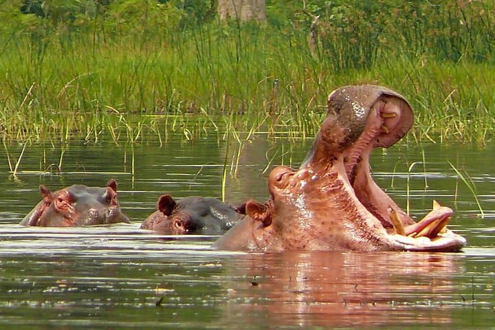 Omo Valley Tribes 6-Day Cultural Safari from Addis Ababa — Tribes, Lakes & Rift Valley Landscapes