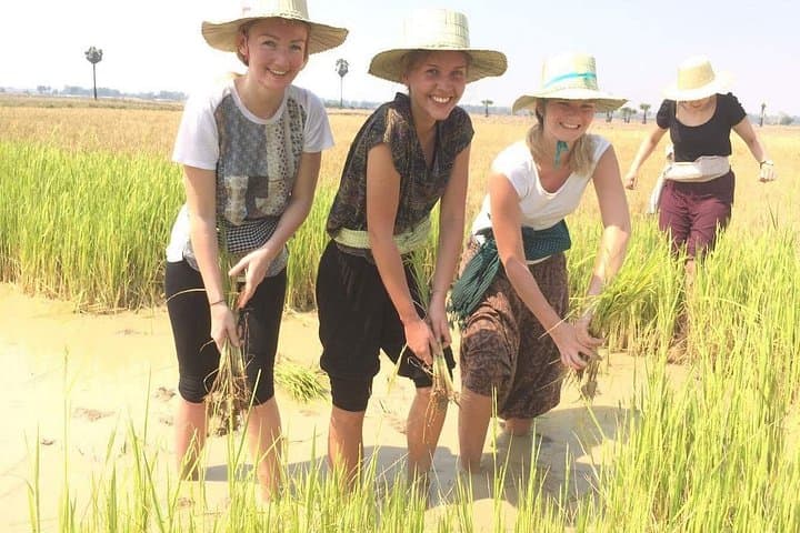 NhumBai Village Experience: Full-Day Cambodian Farming, Cooking & Weaving Tour photo 1