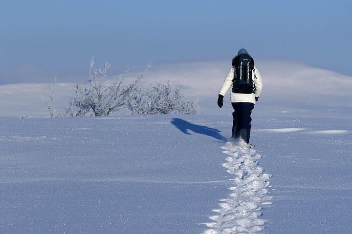 Snowshoeing in Bodø: Arctic Winter Day Trip & Northern Lights Hikes photo 5