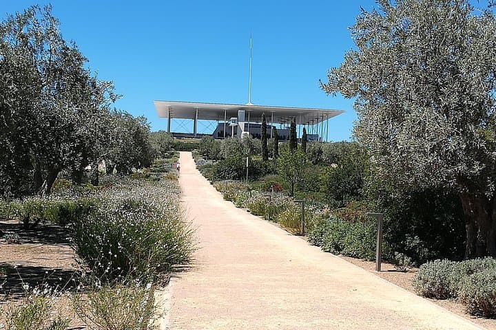 Athens Seaside Family Walking Tour: Kid-Friendly Coastal Walk & Play photo 2