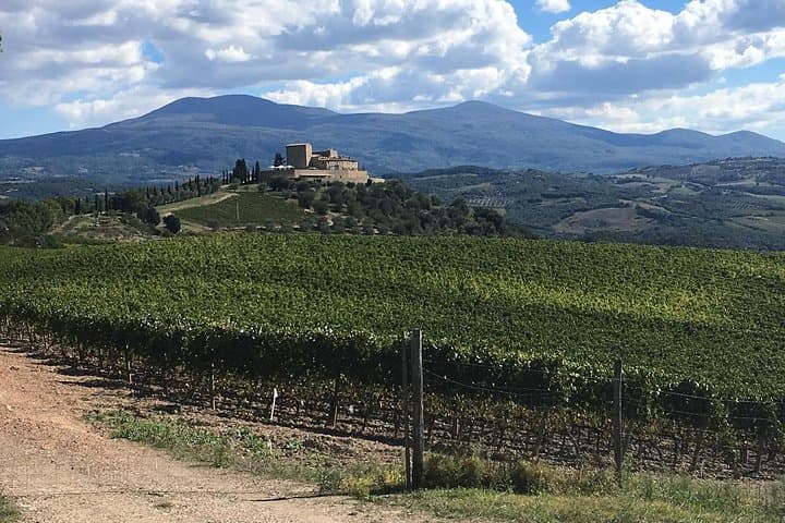 Brunello E-Bike Tour: Montalcino Vineyards & Sant'Antimo Abbey