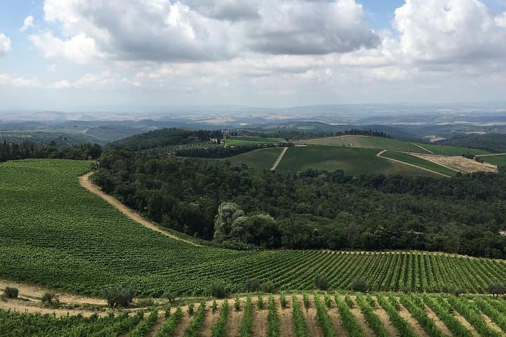 Chianti Classico E-Bike Tour: Wine, Castles, and Rolling Hills photo 3