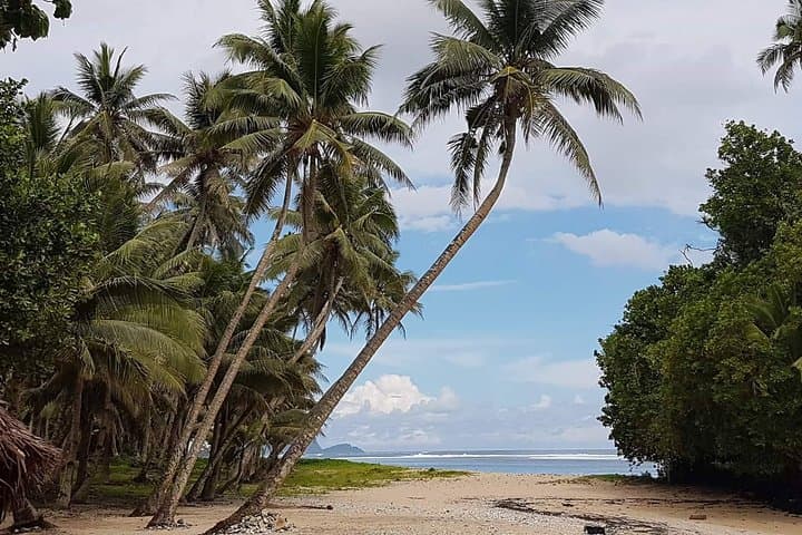 Namua Island: Swim with Turtles and Explore Eastern Upolu photo 2