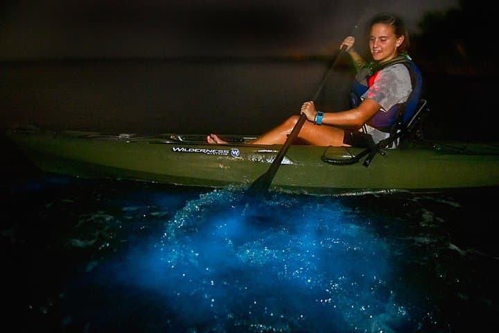 Night Kayak Through Florida's Bioluminescent Lagoon