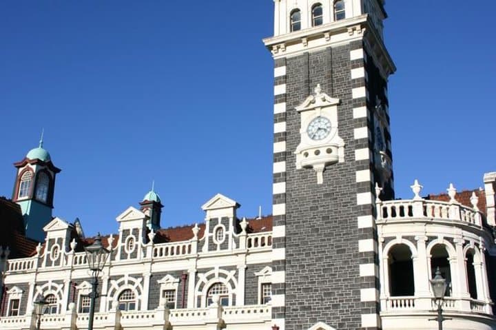 Dunedin Shore Excursion — Small-Group Otago Peninsula Tour & Wildlife Viewing photo 3