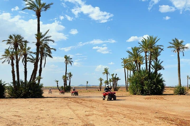 Marrakech Desert & Palm Grove Quad Bike Tour — Half-Day Quad Adventure photo 1