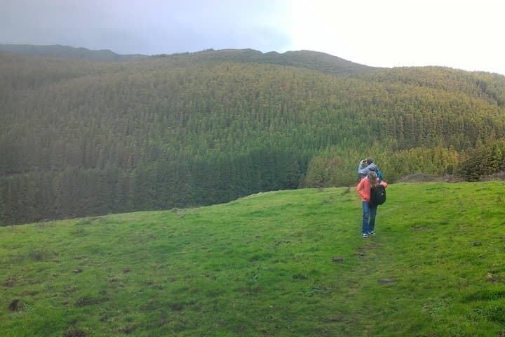 Terceira Island Walking Trails: Explore Azores Footpaths on Guided Hikes