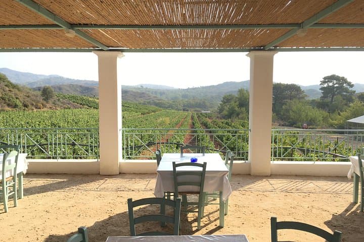Valley of the Butterflies & Rhodes Wine Tasting: Private Half-Day Tour photo 2