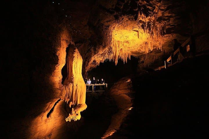 Waitomo & King Country Luxury Day Tour from Auckland — Spellbound Glowworm Caves