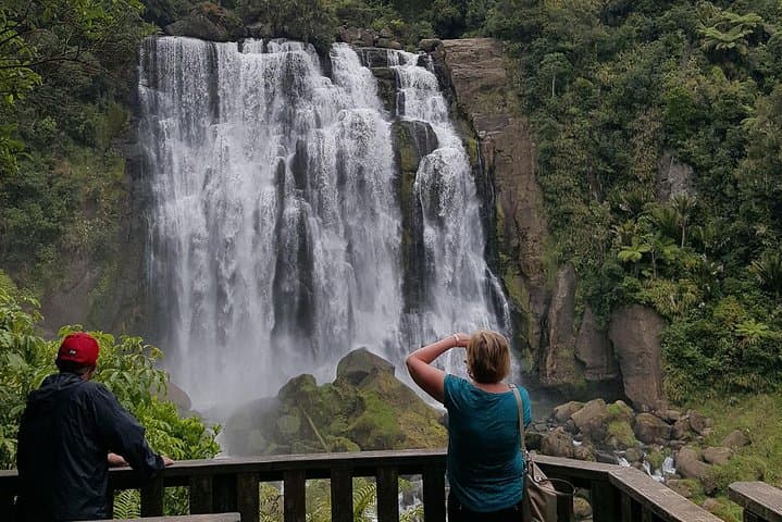 Waitomo & King Country Luxury Day Tour from Auckland — Spellbound Glowworm Caves photo 2