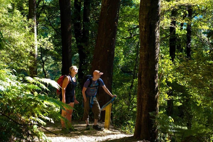 Self-Guided Queen Charlotte Track Day Walk from Picton — Marlborough Sounds Hike photo 1