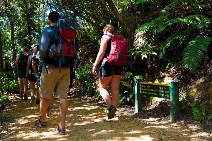 Self-Guided Queen Charlotte Track Day Walk from Picton — Marlborough Sounds Hike photo 2