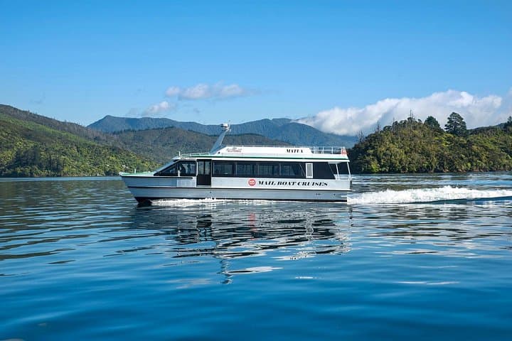 Half-Day Marlborough Sounds Cruise to Ship Cove from Picton photo 1