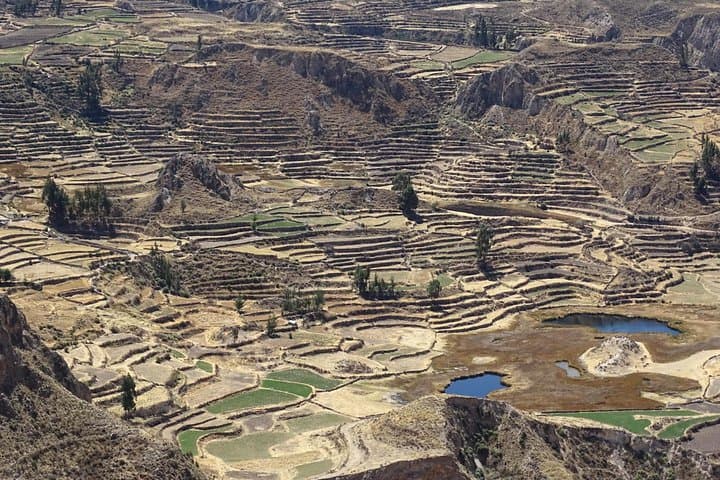 Colca Canyon Full-Day Private Tour from Arequipa — Cruz del Condor & Hot Springs