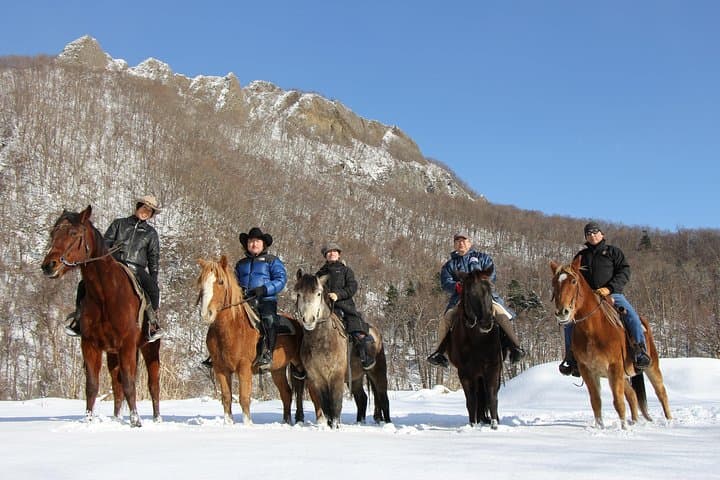 Horseback Riding Near Sapporo: Wild Mustang Trails at Mt. Hakken