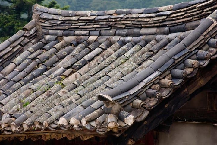 Junam Wetlands and Haeinsa Temple Day Tour from Busan: Birds, Lotus Fields & the Tripitaka Koreana photo 2