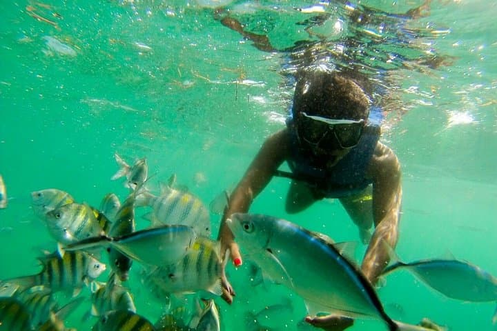Punta Cana Party Boat Snorkel Cruise with DJ and Open Bar photo 3