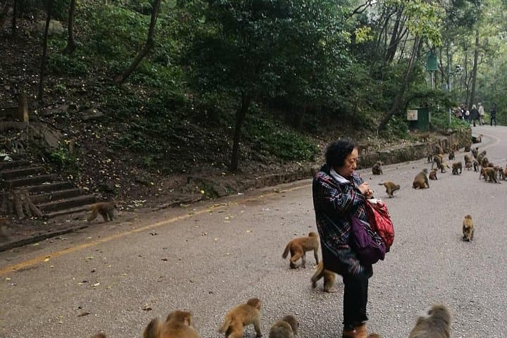 Guiyang Day Tour: Qianling Park & Qingyan Ancient Town Private Excursion photo 2