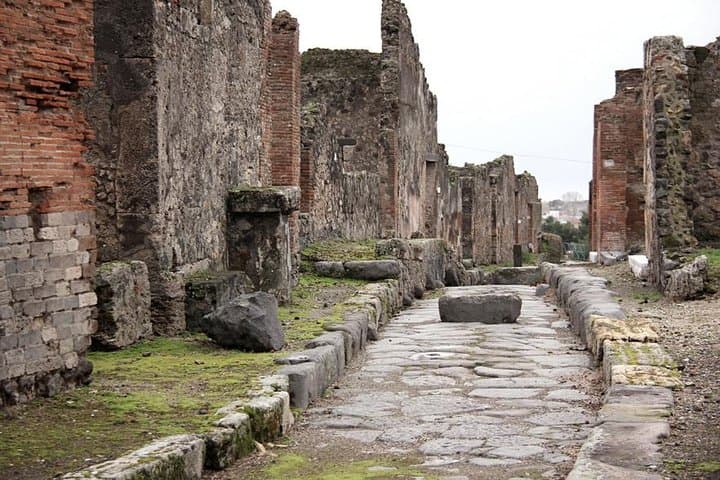 Pompeii and Vesuvius: Volcano Hike, Ancient Ruins & Vesuvian Wine Tasting photo 5