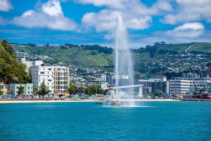 Half-Day Wellington Sightseeing Tour: Mt Victoria, Cable Car & Weta Cave photo 2