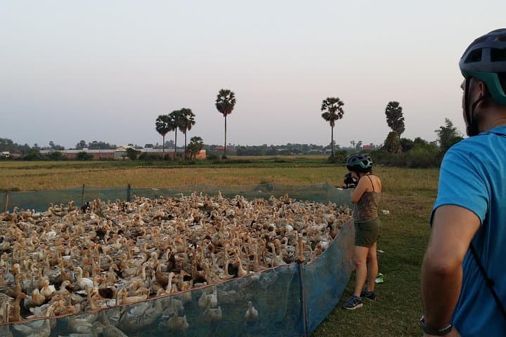 Siem Reap Village Biking: Half-Day Ride to West Baray & Local Markets photo 2