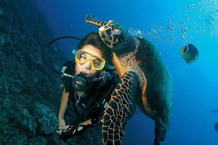 Antalya Scuba Diving from Setur Harbour — Two Dives, Lunch & Transfers