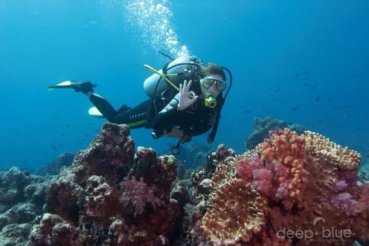Antalya Scuba Diving from Setur Harbour — Two Dives, Lunch & Transfers photo 2