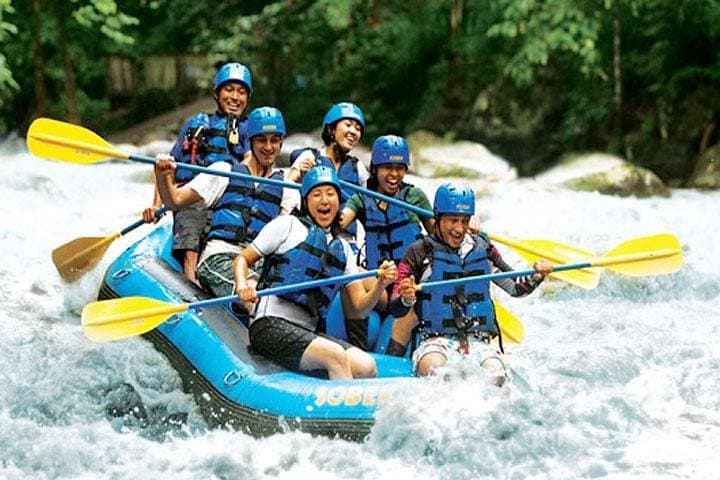 Ayung River Rafting & Private Ubud Tour — Rafting, Tegenungan Waterfall & Lunch photo 2